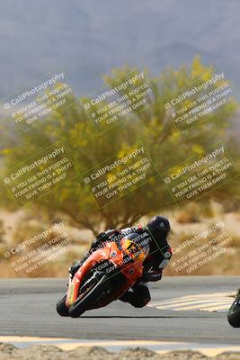 media/Apr-10-2022-SoCal Trackdays (Sun) [[f104b12566]]/Turn 5 Tree of Life (1040am)/